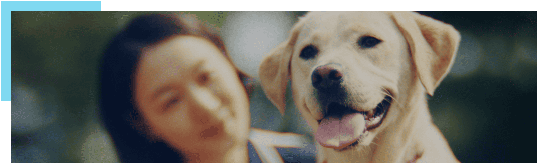 This is a photo of the Samsung Guide Dog, one of Samsung's major CSR programs.